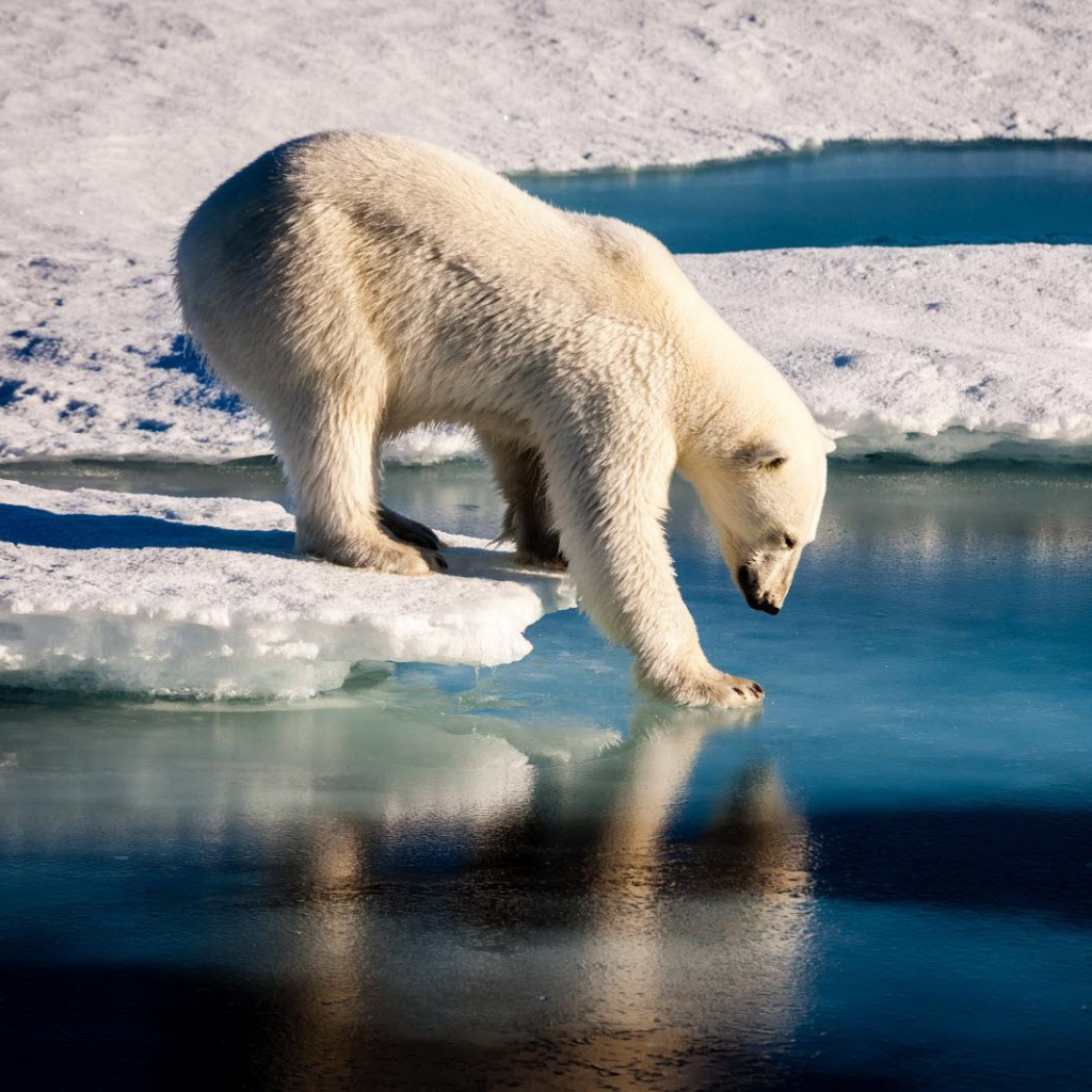 What Is Climate Change