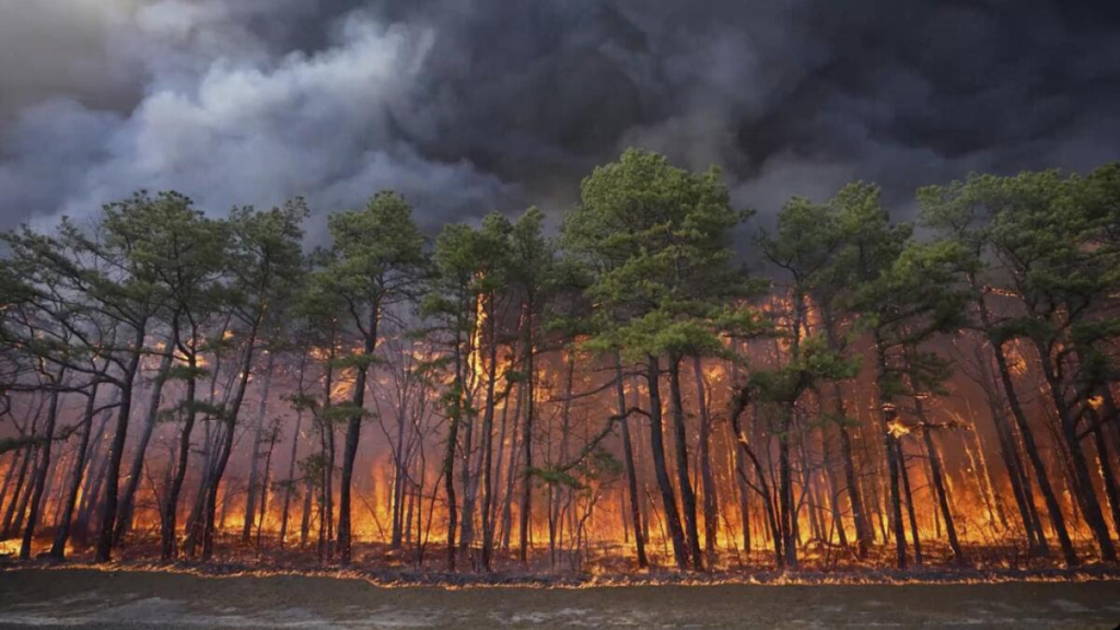 What Is Climate Change
