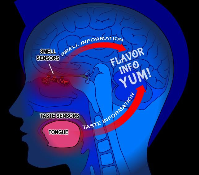 chemistry of cooking food