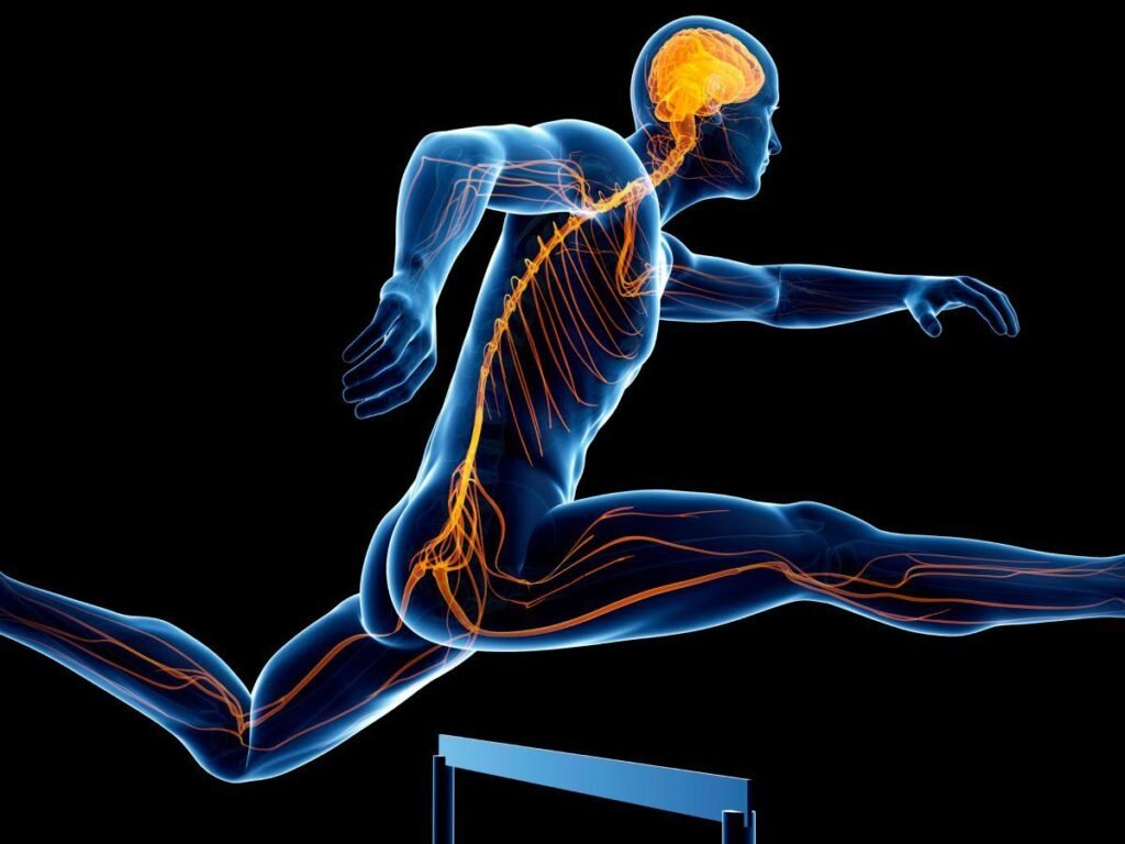 Science Behind Sports Performance