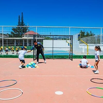 Science Behind Sports Performance